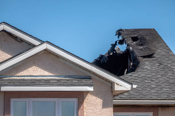 Top rated local Board Up Services specialists in Clearwater, MN
